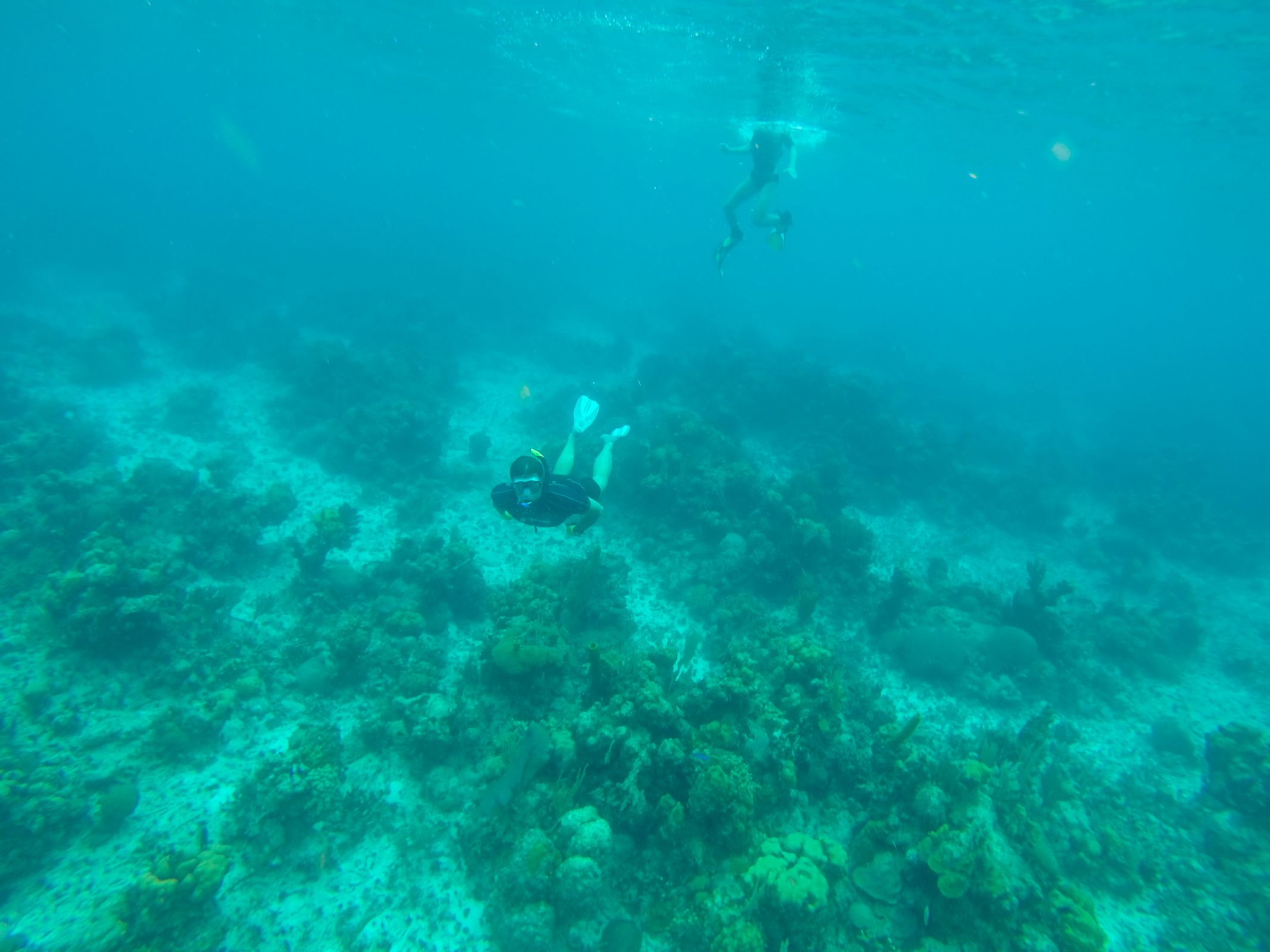 John Pennekamp State Park Key Largo Snorkelling